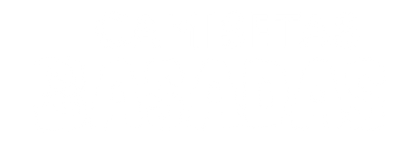 CAMISETAS BASADAS